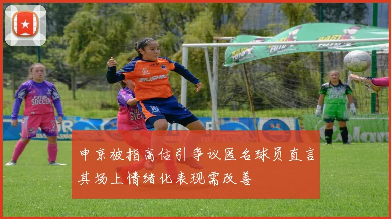 申京被指高估引争议匿名球员直言其场上情绪化表现需改善
