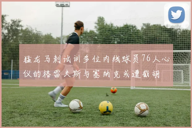 猛龙马刺试训多位内线球员76人心仪的格雷夫斯与塞纳克或遭截胡